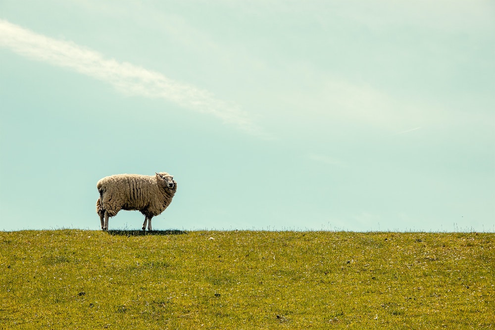 Parables in Luke the lost sheep, parables